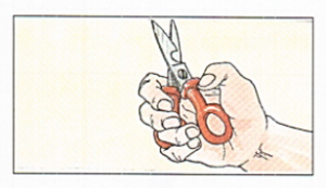 Come tenere le forbici